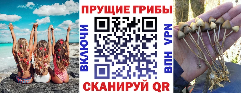цены наркотик Красноармейск Галлюциногенные грибы ЛСД
